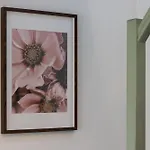 Botanical House Near Bologna With Free Parking *